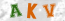 Güvenlik Resmi